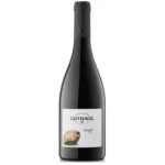 Castellroig So Negre 750 Ml. Ecologico
